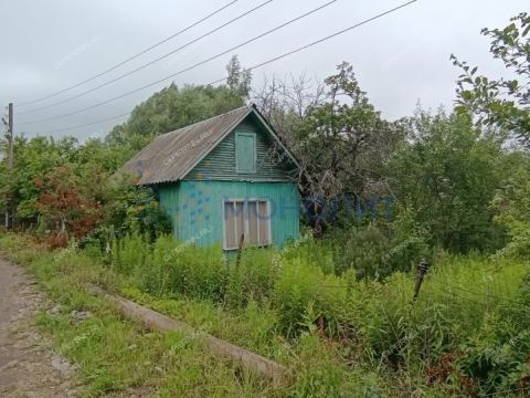 dacha-snt-kolos фото