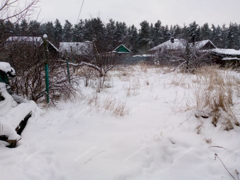 rabochiy-poselok-pervoe-maya-balahninskiy-municipalnyy-okrug фото