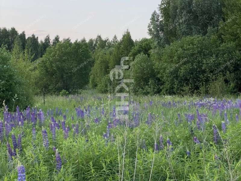 земельный участок 20 соток Семена Захарова село Дуденево