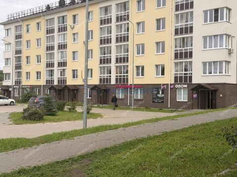 2-komnatnaya-ul-2-ya-dorozhnaya-d-4 фото