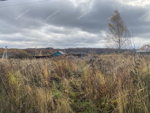 derevnya-shumilovo-bogorodskiy-municipalnyy-okrug фото