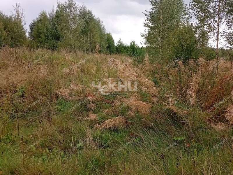 земельный участок 16 соток деревня Раково