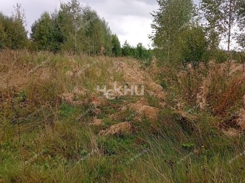 derevnya-rakovo-gorodskoy-okrug-chkalovsk фото