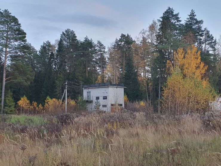 Фото: Ксения Ражева