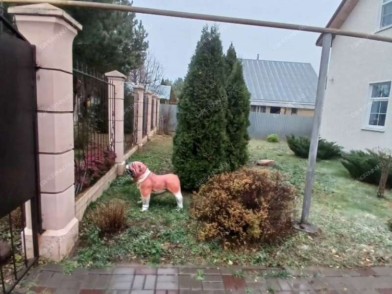 коттедж на ул. Свободы деревня Ионовка