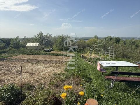 dacha-selo-barmino-lyskovskiy-municipalnyy-okrug фото