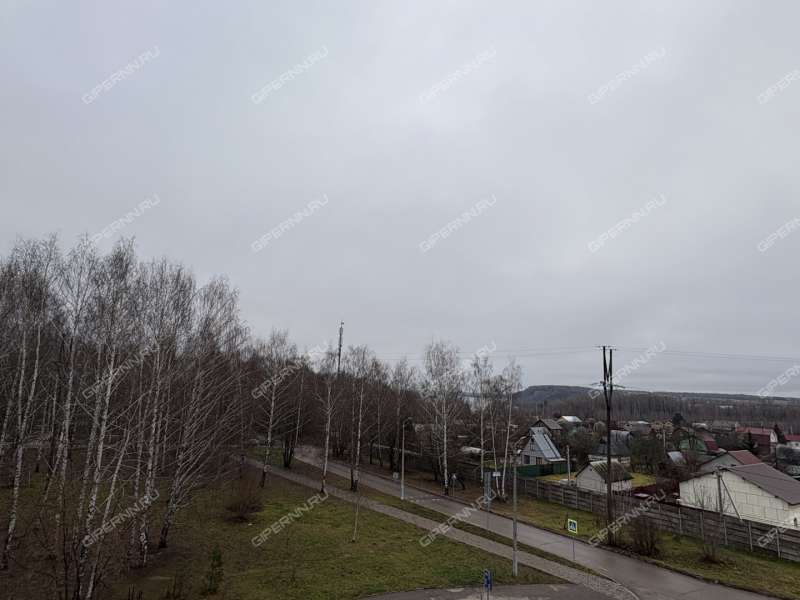 двухкомнатная квартира на Парковой улице дом 6 город Кстово