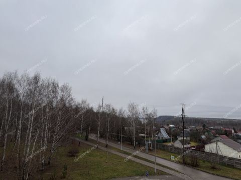 2-komnatnaya-gorod-kstovo-kstovskiy-rayon фото