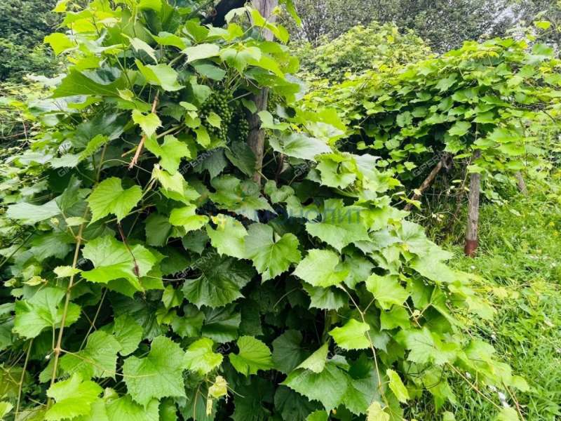 дом на улице Коммунистическая село Бритово