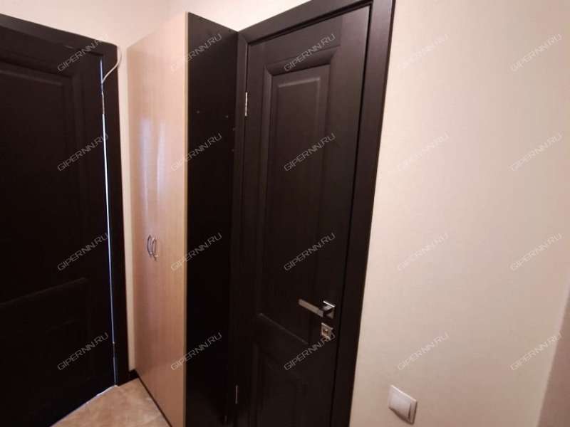 квартира-студия на Русской улице улице дом 1 деревня Анкудиновка