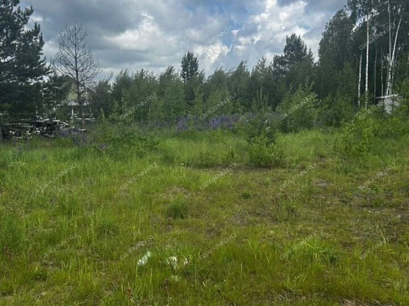 земельный участок 17 соток деревня Оринкино