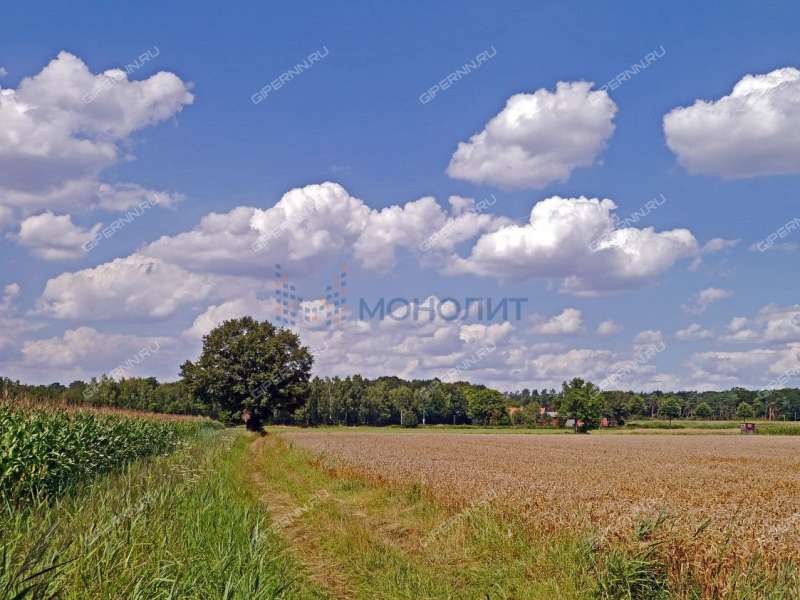 земельный участок под сельхоз назначение в Сергачском районе Нижегородской области