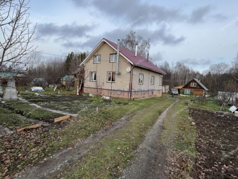 dom-derevnya-ovsyanka-semenovskiy-gorodskoy-okrug фото