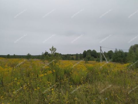 derevnya-kileley-bogorodskiy-municipalnyy-okrug фото