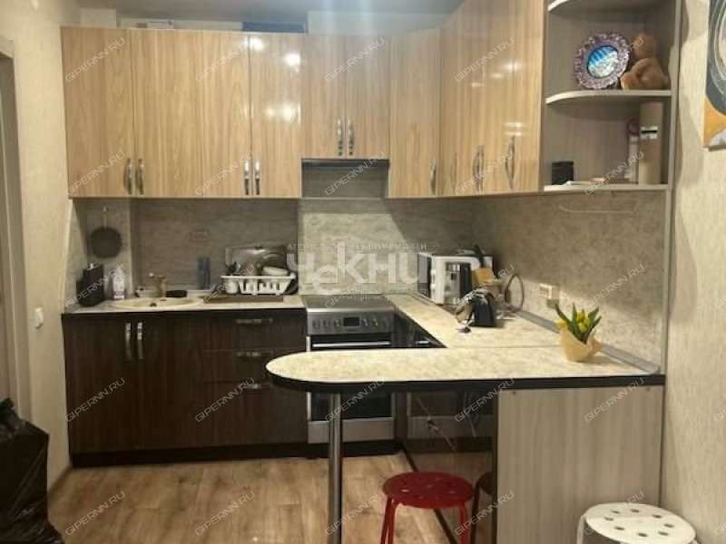 однокомнатная квартира на улице Романтиков дом 1