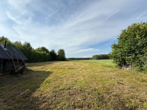 dom-derevnya-vashurovo-gorodeckiy-rayon фото