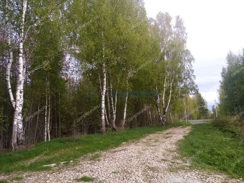 земельный участок 20 соток - деревня Чуркино (Зиняковский сельсовет