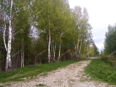 derevnya-churkino-zinyakovskiy-selsovet-gorodeckiy-rayon фото