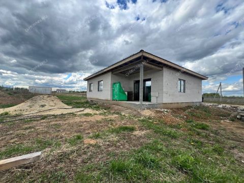 dom-selo-diveevo-diveevskiy-municipalnyy-okrug фото