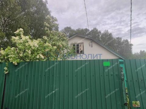 dacha фото