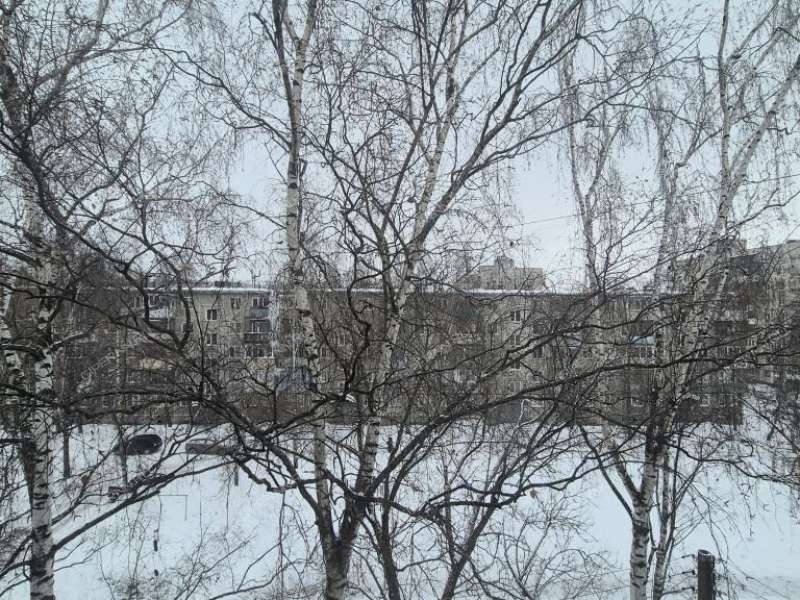 двухкомнатная квартира на проспекте Ленина дом 24В