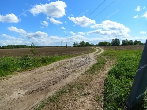 derevnya-priklonnoe-kantaurovskiy-selsovet-gorodskoy-okrug-bor фото