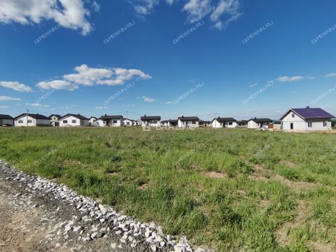 selo-efimevo-bogorodskiy-municipalnyy-okrug фото