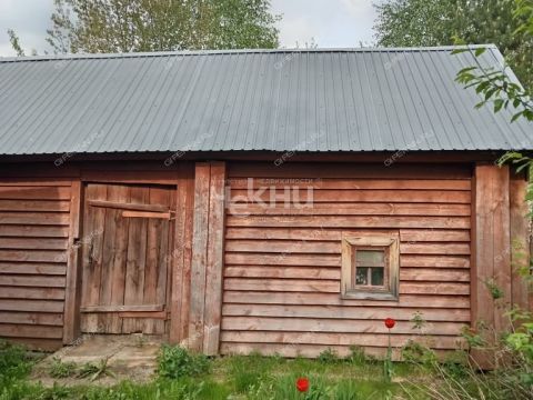 dacha-derevnya-mokeiha-gorodeckiy-rayon фото