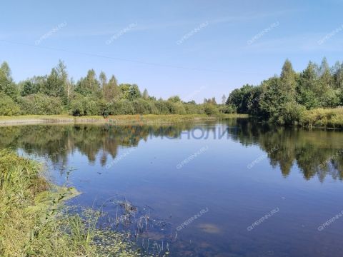 dom-derevnya-dorofeiha-semenovskiy-gorodskoy-okrug фото