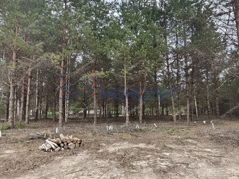 ivanovskoe-sloboda-gorodskoy-okrug-bor фото