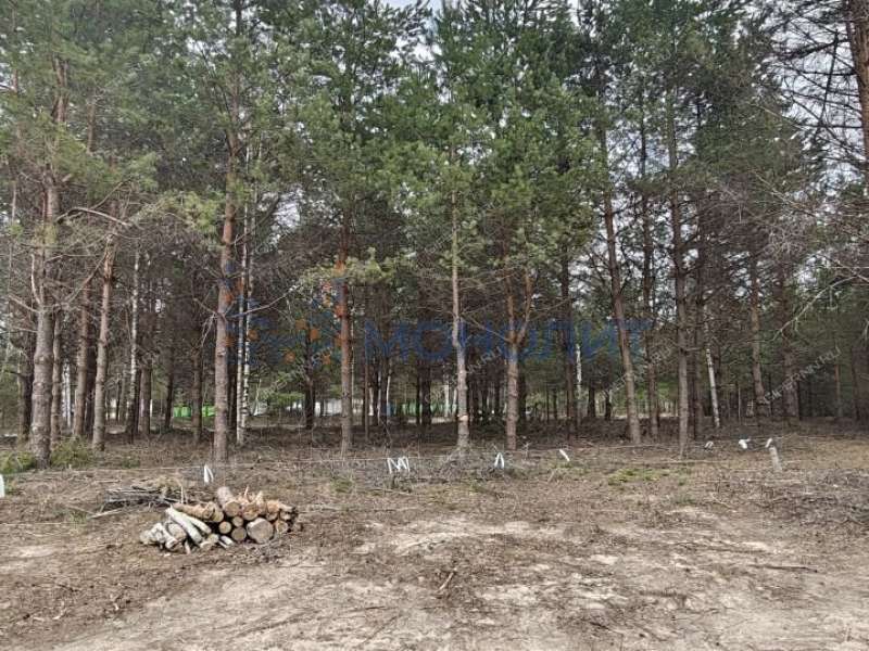 земельный участок 16 соток Ореховая улица Ивановское слобода