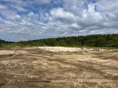 moskovskiy-rayon фото