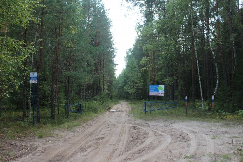 Фото: Ксения Ражева / gipernn.ru