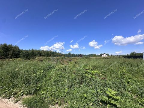 selo-dudenevo-bogorodskiy-municipalnyy-okrug фото