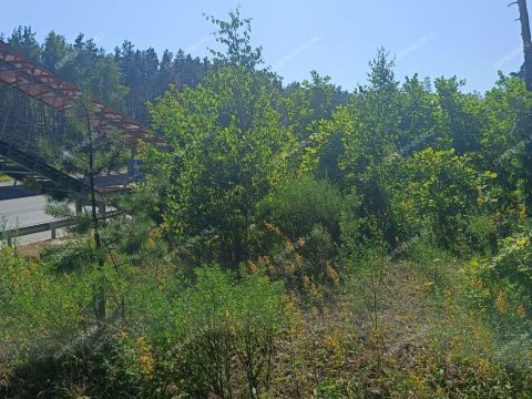 poselok-novosmolinskiy-volodarskiy-rayon фото