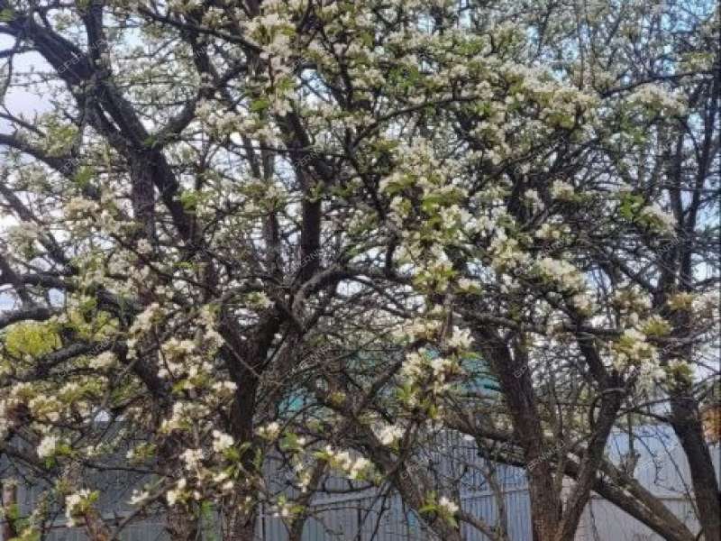 дом на улице Ограда село Татинец