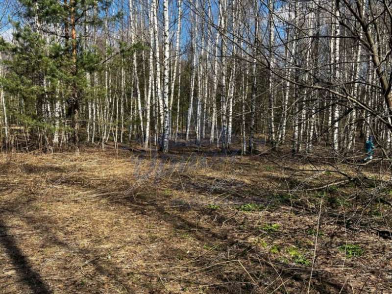 земельный участок 10 соток деревня Ломки