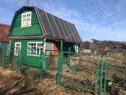 dacha-zheleznodorozhnik-sp-okskiy-ter-snt-bogorodskiy-municipalnyy-okrug фото