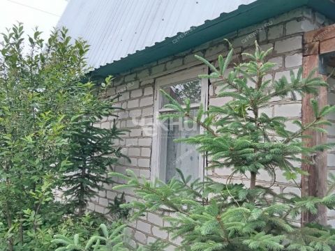 dacha-gorod-gorodec-gorodeckiy-rayon фото