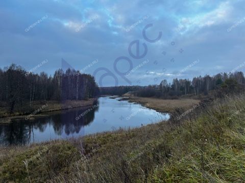 derevnya-fefeliha-sokolskiy-gorodskoy-okrug фото