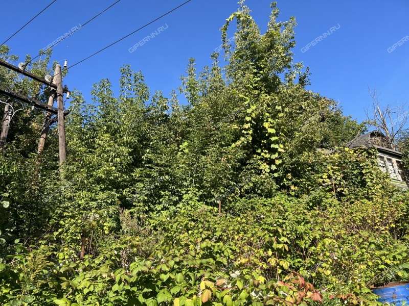 дача на улице Ломоносова