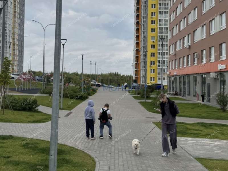 двухкомнатная квартира на Черкесской улице дом 17 деревня Анкудиновка