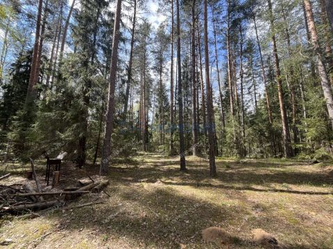 dacha-derevnya-sverchkovo-gorodskoy-okrug-bor фото
