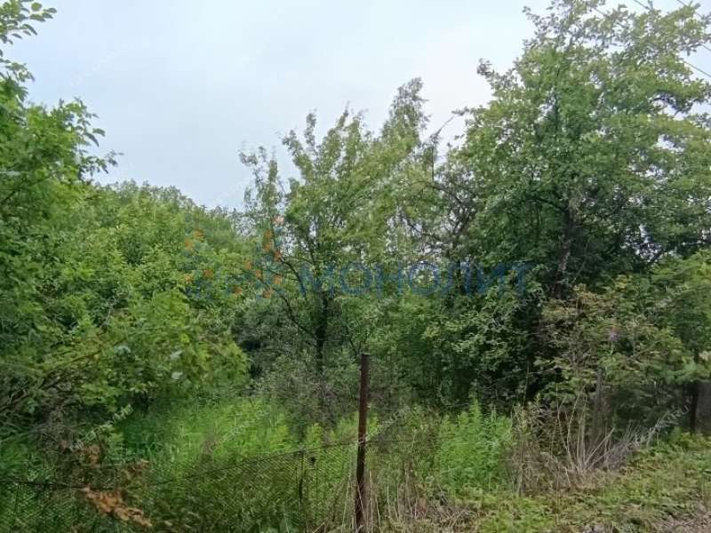 дача на СНТ Колос