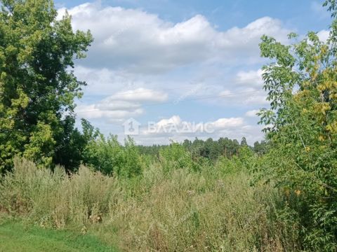 rabochiy-poselok-shatki-shatkovskiy-rayon фото