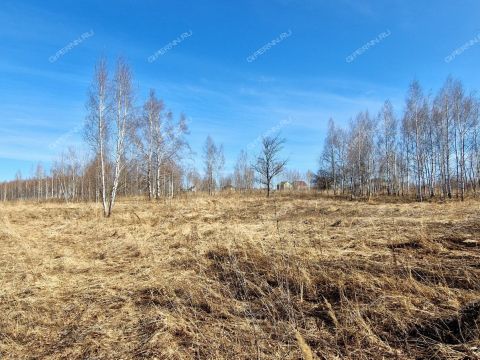 derevnya-novolikeevo-kstovskiy-rayon фото