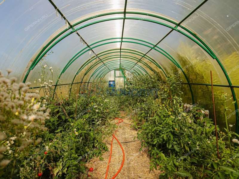 дом на улице Юбилейная Нижегородец сп