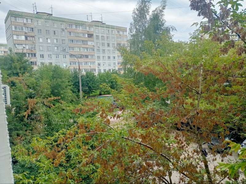 двухкомнатная квартира на улице Минеева дом 35