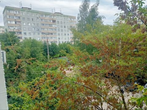 2-komnatnaya-ul-mineeva-d-35 фото