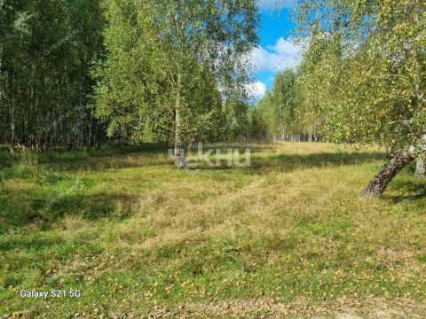 selo-kamenka-vorotynskiy-gorodskoy-okrug фото